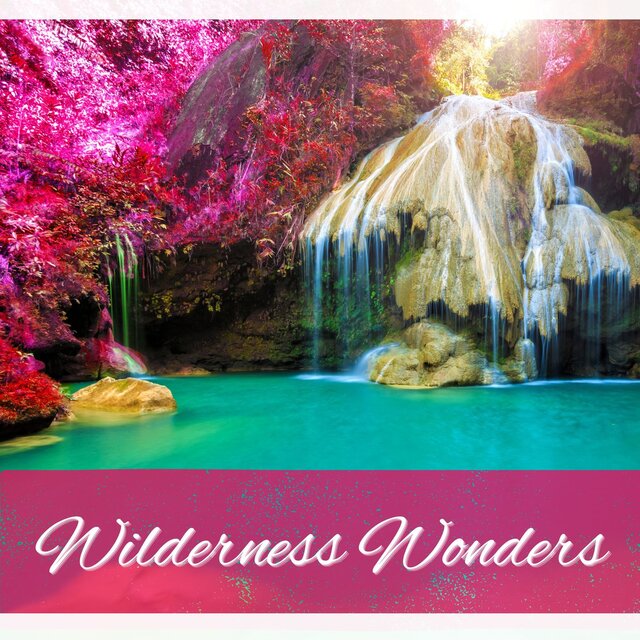 Wilderness Wonders: An Ethereal, Serene Collection of Nature Sounds and Relaxing Music for Meditation, Yoga, and Stress Relief