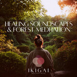 Forest Bliss