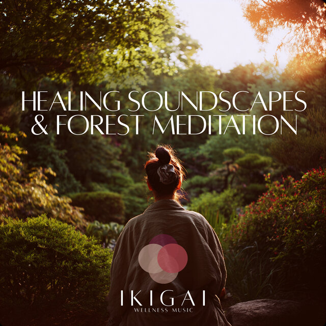 Healing Soundscapes & Forest Meditation
