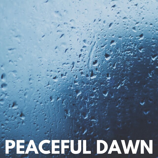 Peaceful Dawn