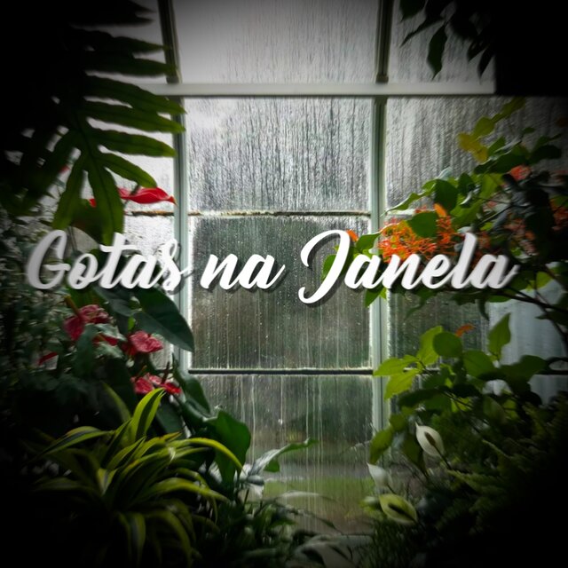 Gotas na Janela