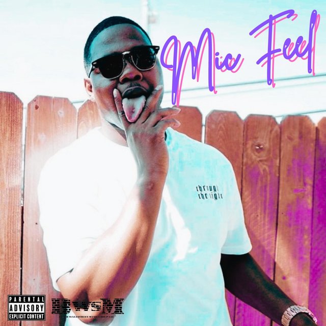 MIC FEEL