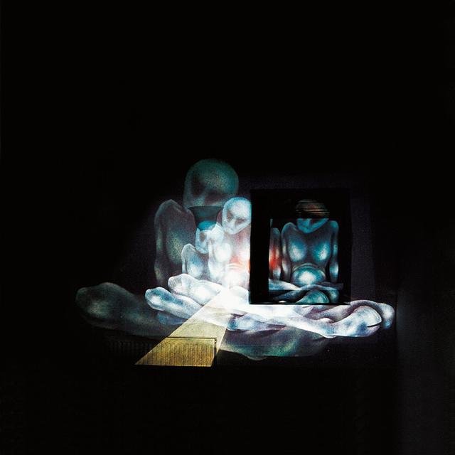 Transgression (polytrak) (Digital Only)