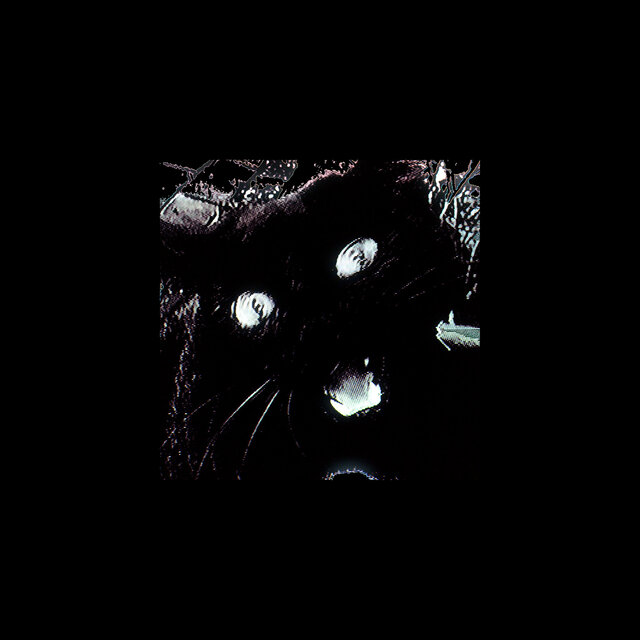 Nine Lives