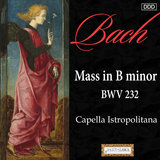 Mass in B Minor, BWV 232: Agnus Dei
