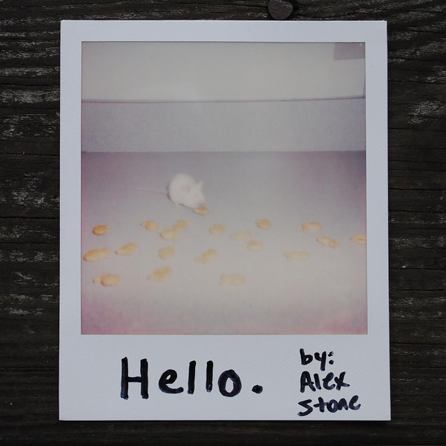 Hello.
