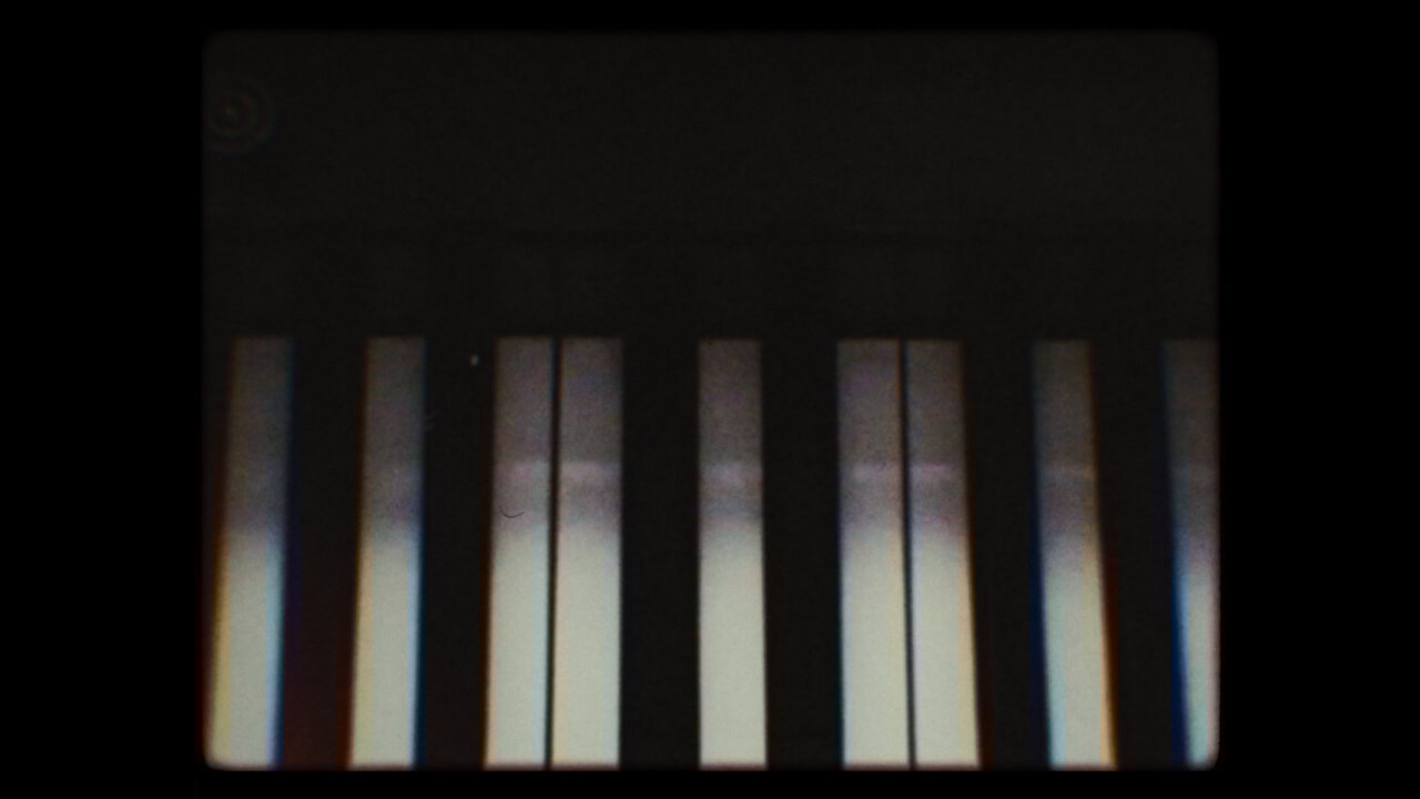 The Show (Encore Version / Lyric Video)