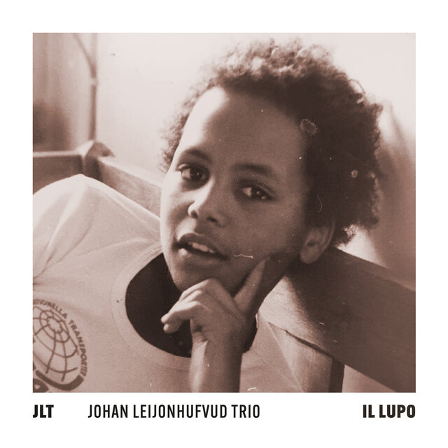 Il Lupo