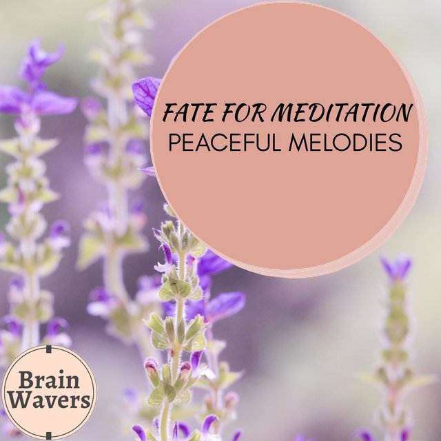 Fate For Meditation - Peaceful Melodies