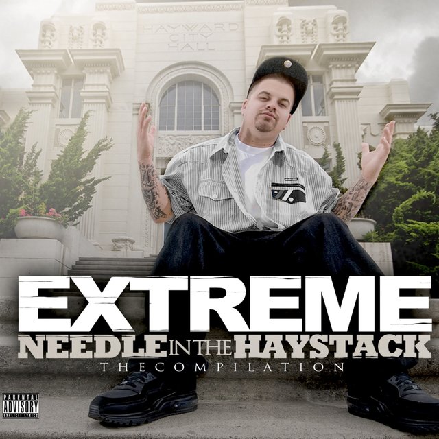 Needle in the Haystack