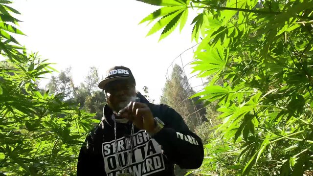High Enuff