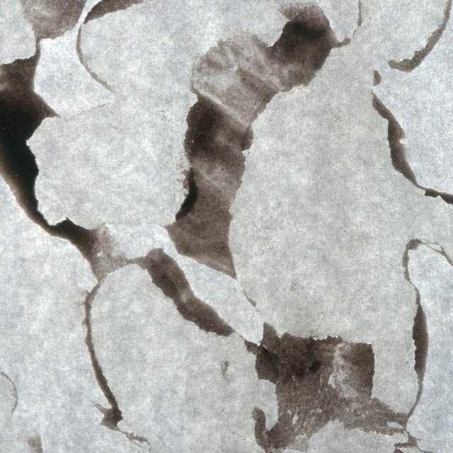 Cover art for album Echoes of Ceramics by Kasia Gawlik