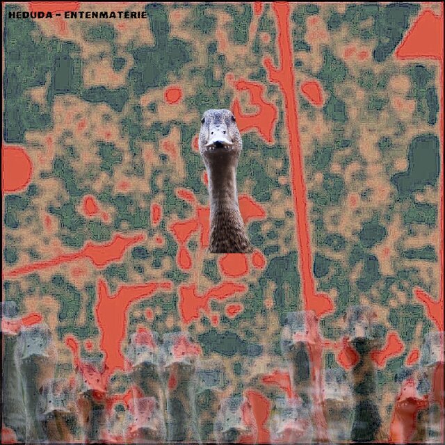 Entenmaterie