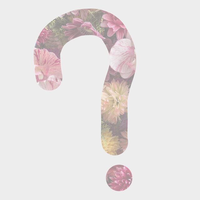 The Riddle