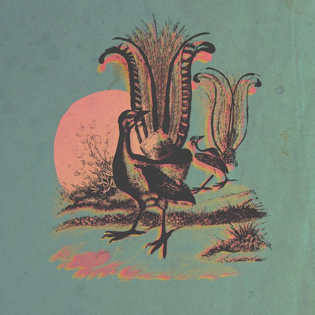 Cover art for album Traduzioni by Tristitropici