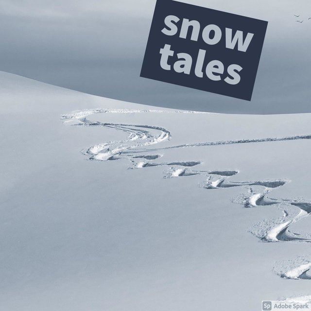 Snow Tales