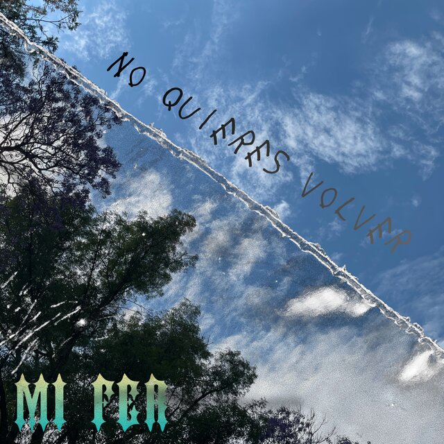 No quieres volver
