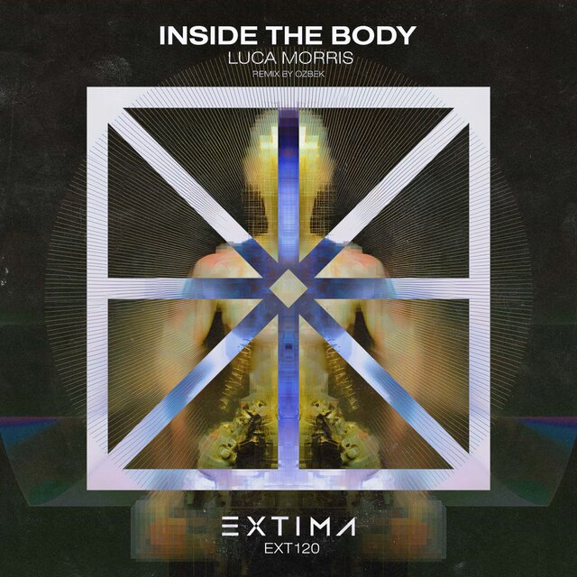 Inside the Body