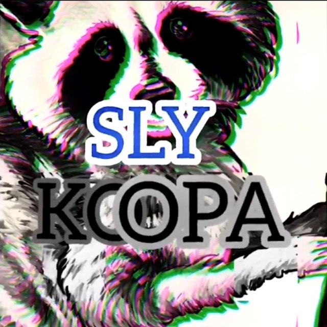 SlyKoopa
