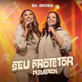 Seu Protetor