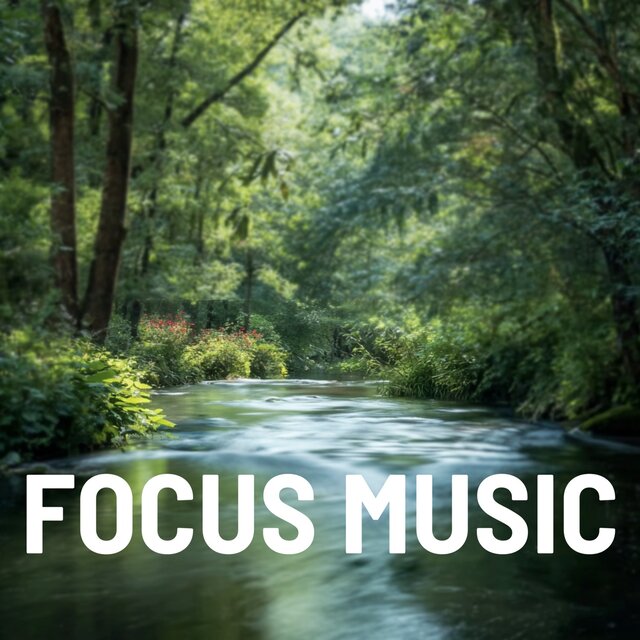 Summer Focus Jazz for Study and Productivity