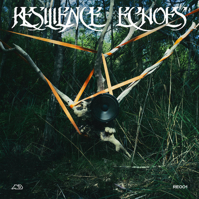 Resilience Echoes