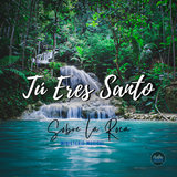 Tú Eres Santo