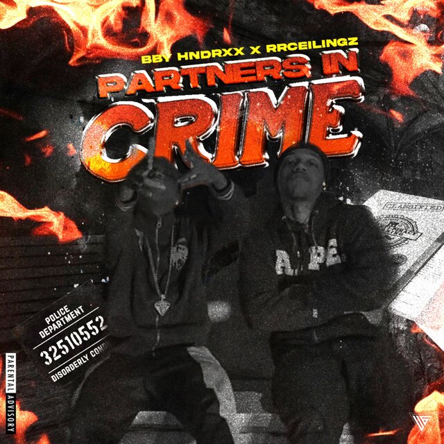 PARTNERS N CRIME