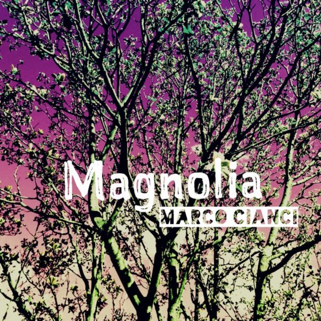Magnolia