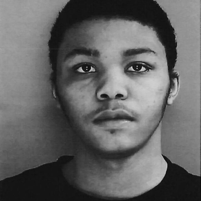Free Baby 3