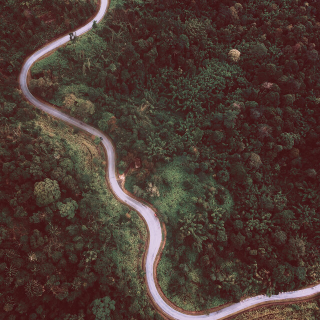 Tranquil Journey