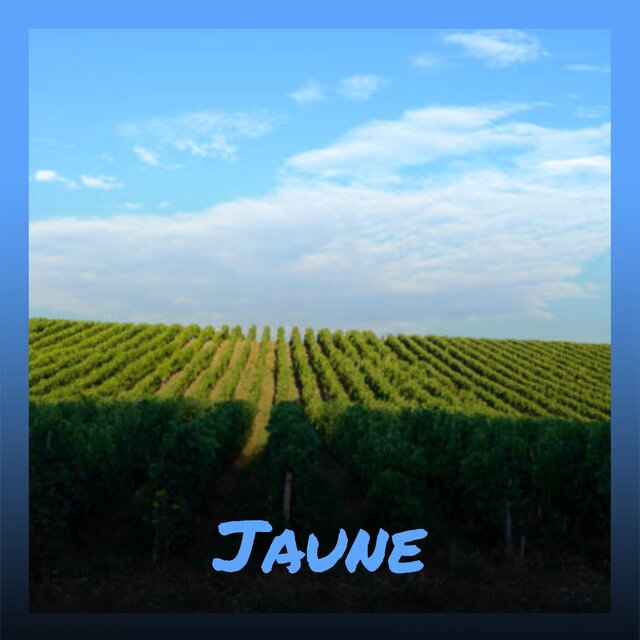 Jaune
