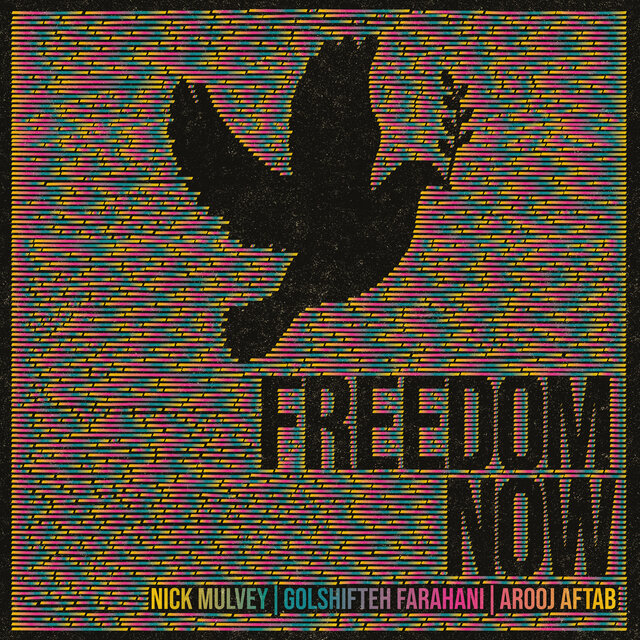 Freedom Now