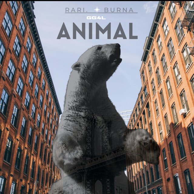 ANIMAL