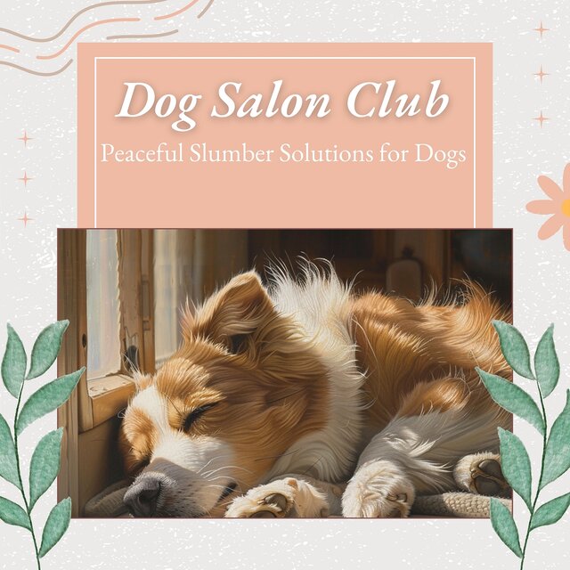 Peaceful Slumber Solutions for Dogs