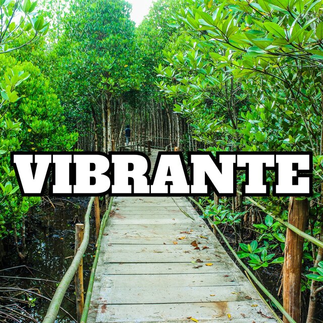 vibrante