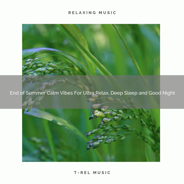End of Summer Calm Vibes For Ultra Relax, Deep Sleep and Good Night