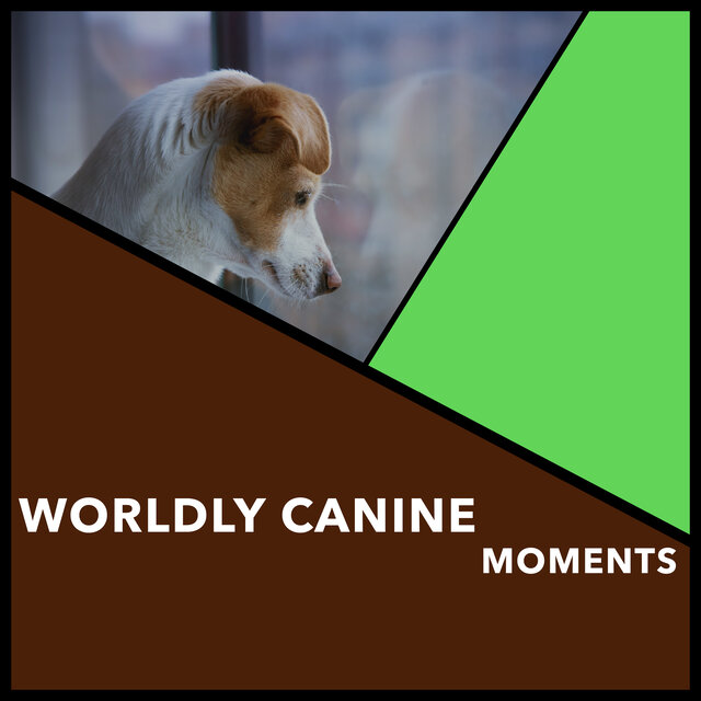 Worldly Canine Moments
