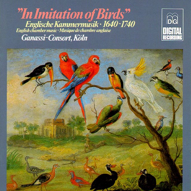 In Imitation of Birds