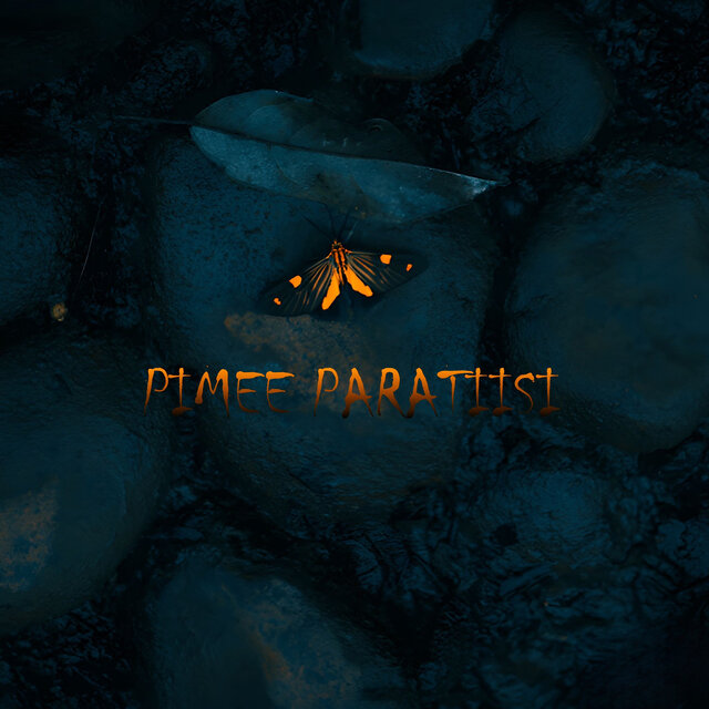 Pimee Paratiisi