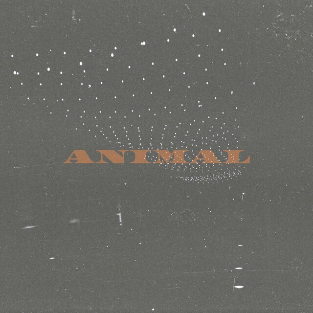 Tell me What You Want EP