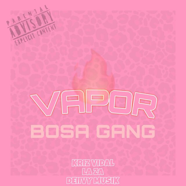 VAPOR (Bosa Gang)