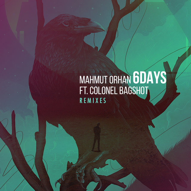 6 Days (Remixes)