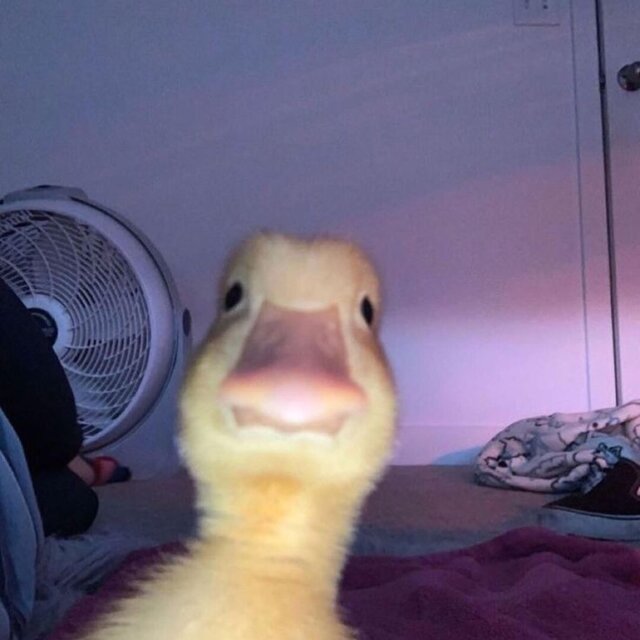 I Dont Know