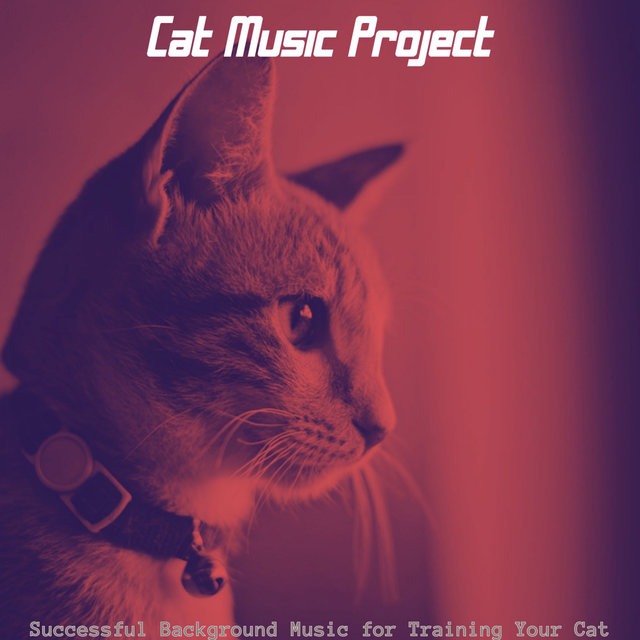 Successful Background Music for Training Your Cat