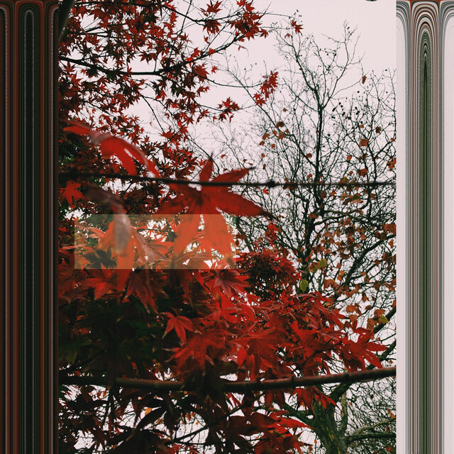 End Of The Fall