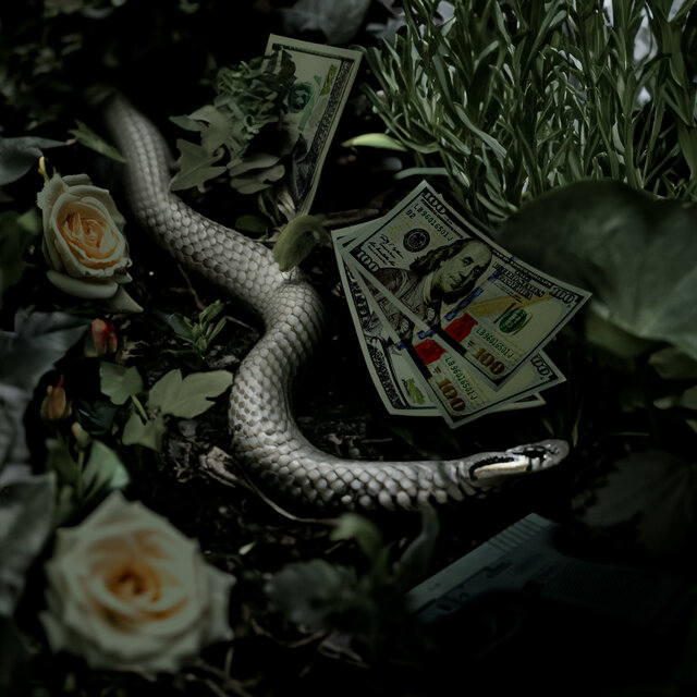 Flora & Fauna