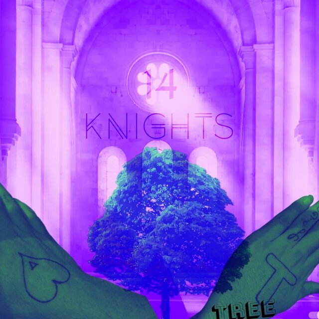 14 Knights