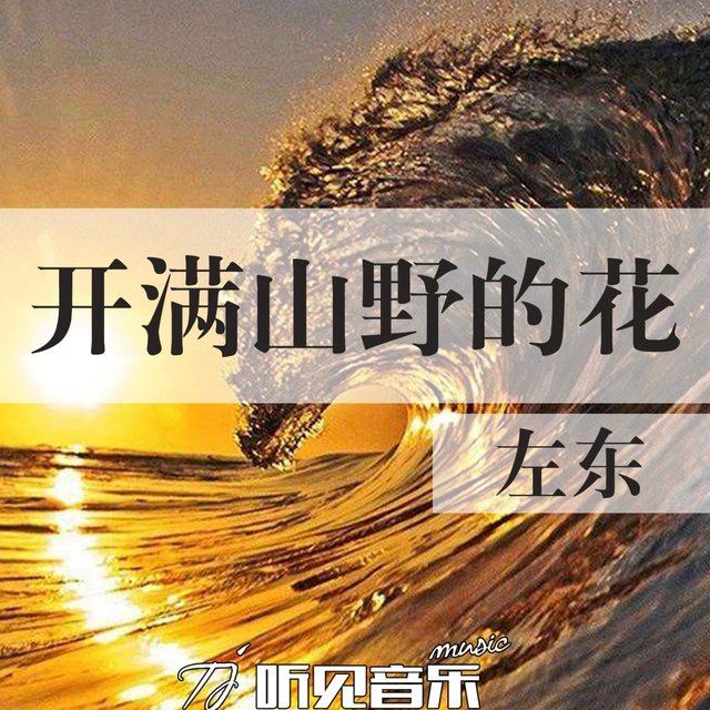 开满山野的花