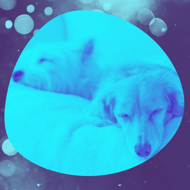 Harp Music - Background Music for Resting Pups